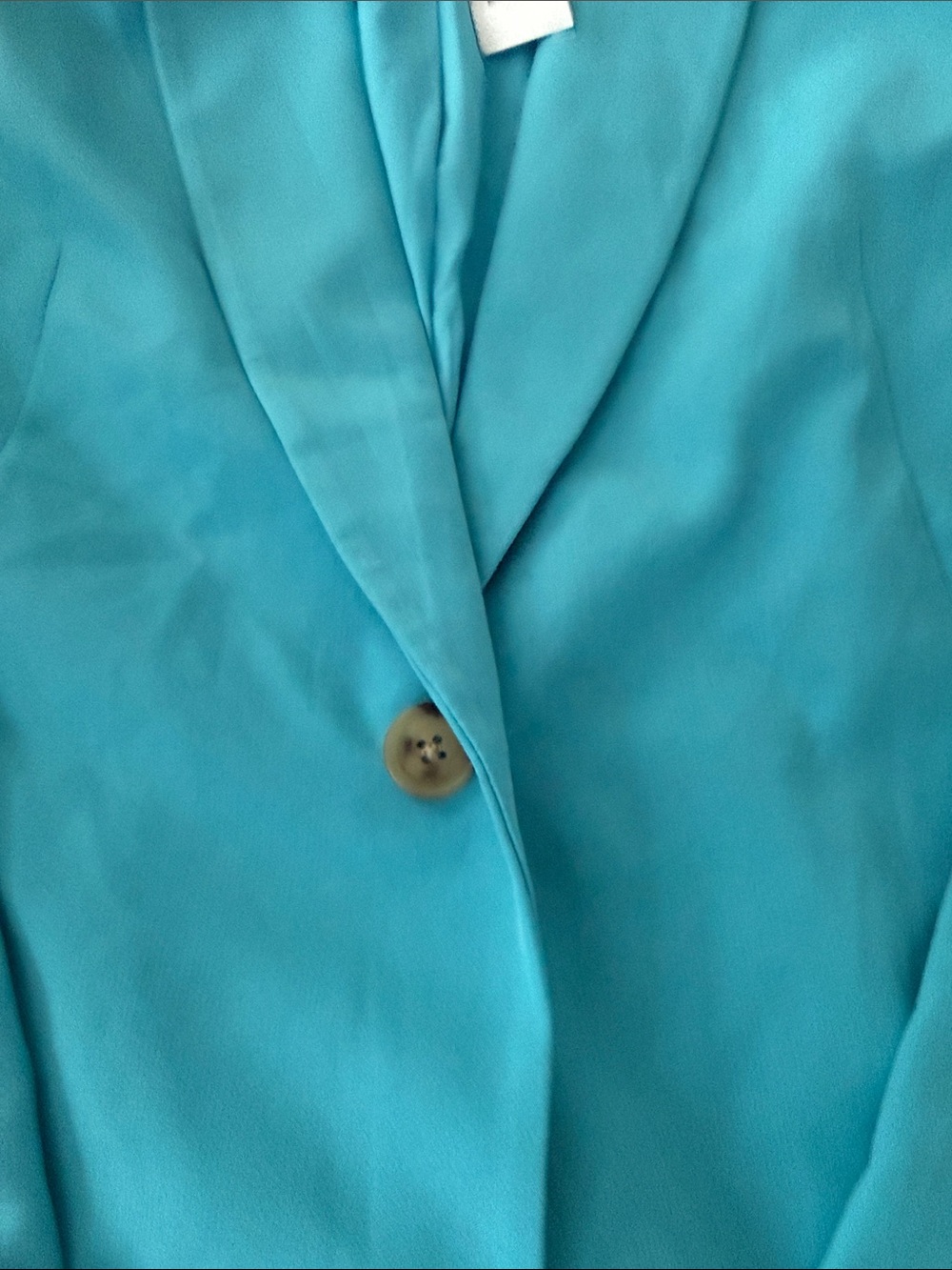 Amazon Turquoise Single-Button Blazer - Picture 3 of 4